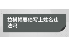 噶尔噶尔的要账公司在催收过程中的策略和技巧有哪些？